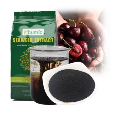 100% water organic fertilizer soluble seaweed extract